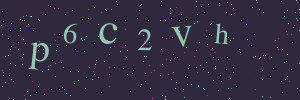 Validation image